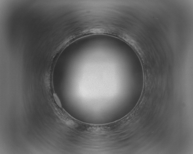 X0000070820297200606191229