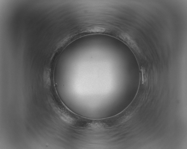 X0000070820300200606191229