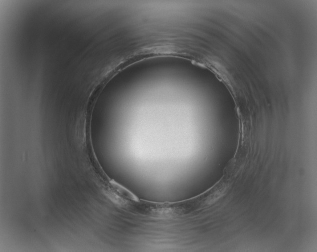 X0000070820301200606191229