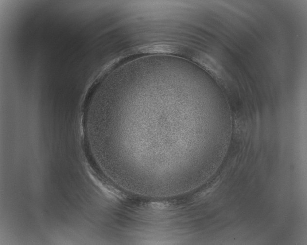 X0000070820302200606191229