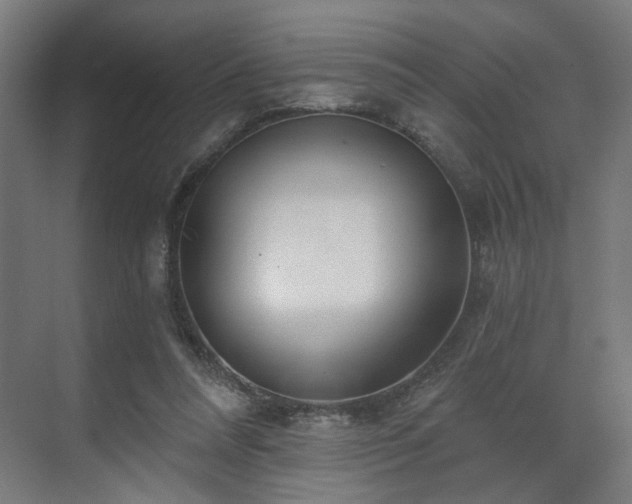 X0000070820304200606191229