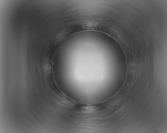 X0000070820324200606191229