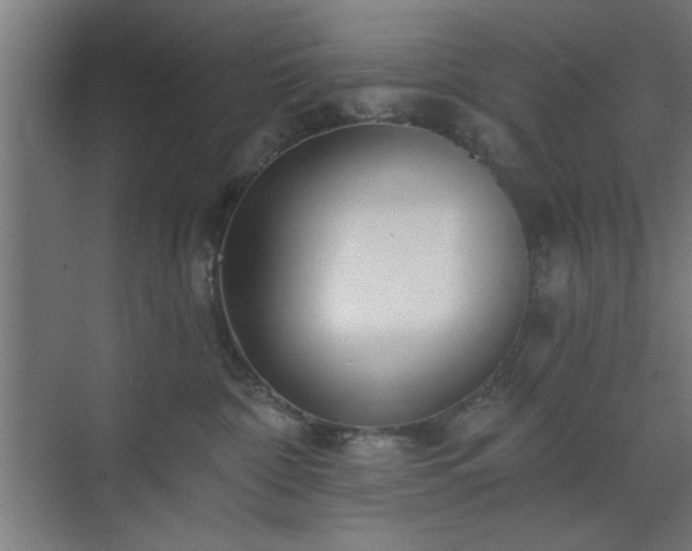 X0000070820332200606191229