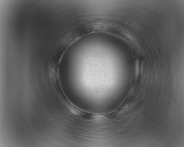 X0000070820333200606191229