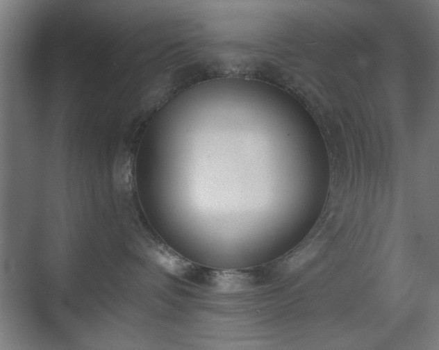 X0000070820336200606191229