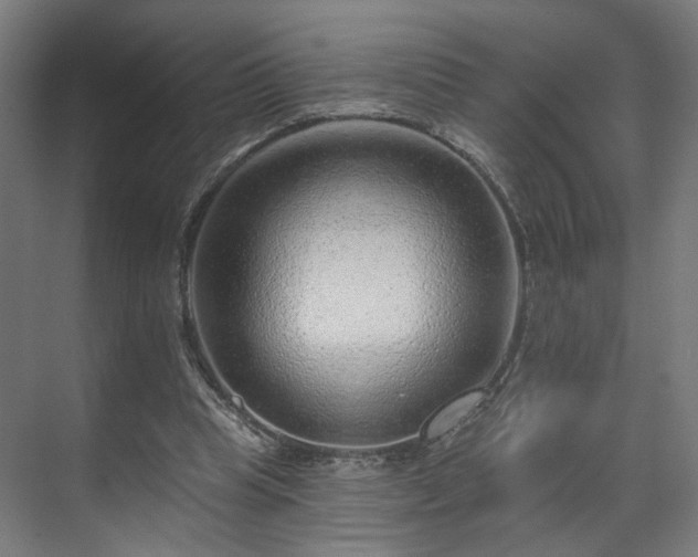 X0000070820345200606191228