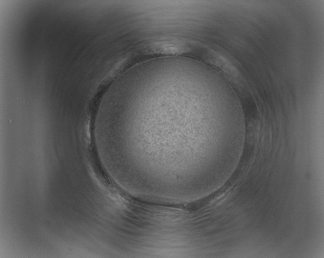 X0000070820358200606191228