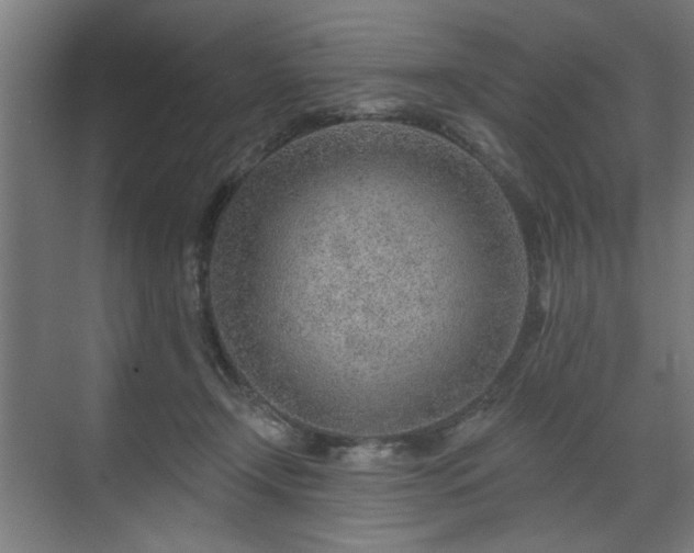 X0000070820366200606191228