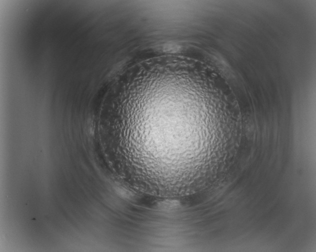 X0000070820374200606191228