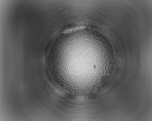 X0000070820375200606191228