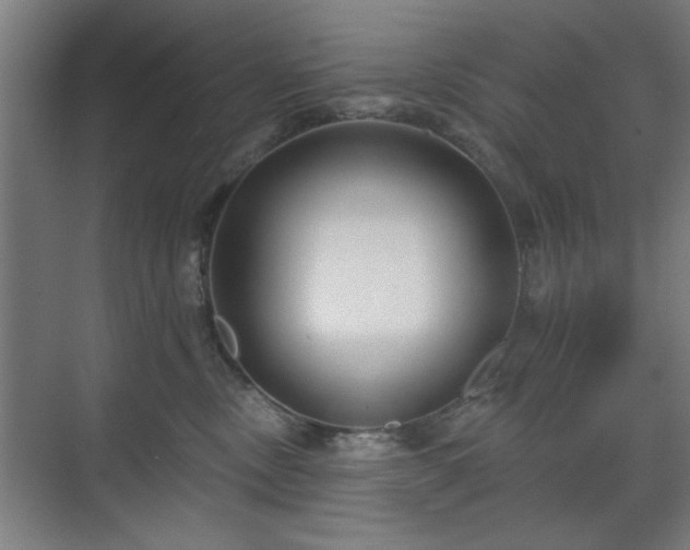 X0000070820378200606191229