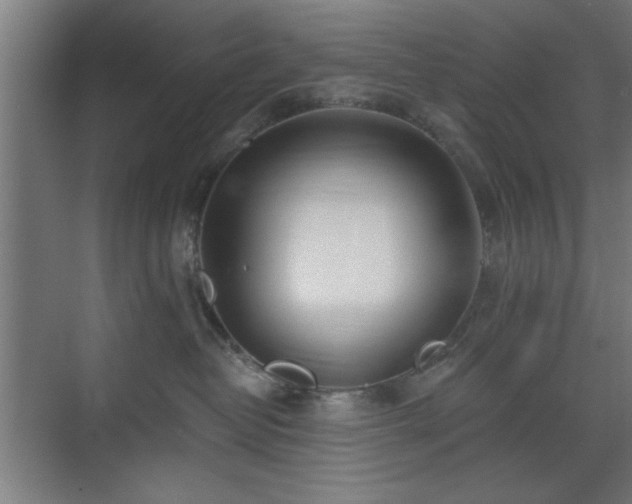 X0000070820382200606191229