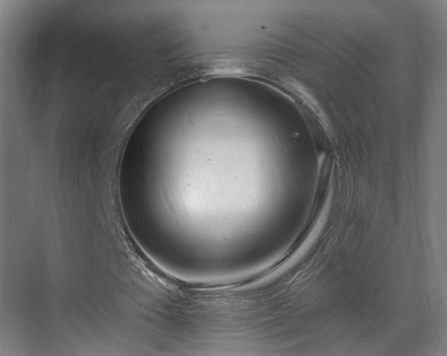 X0000070820385200606191228