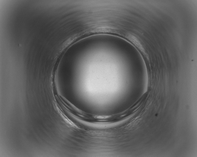 X0000070820389200606191228