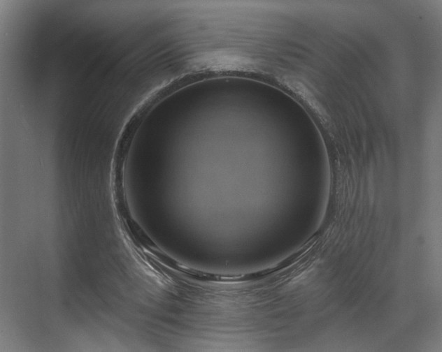 X0000070820391200606191228