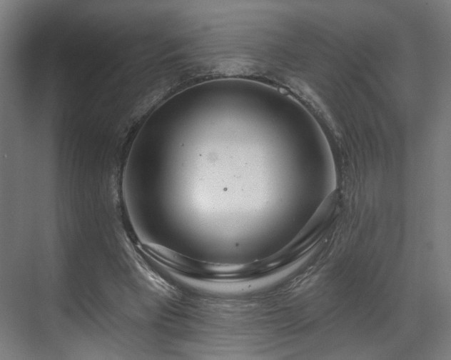 X0000070820393200606191228