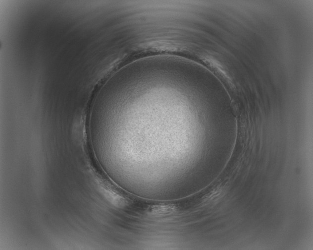 X0000070820398200606191228