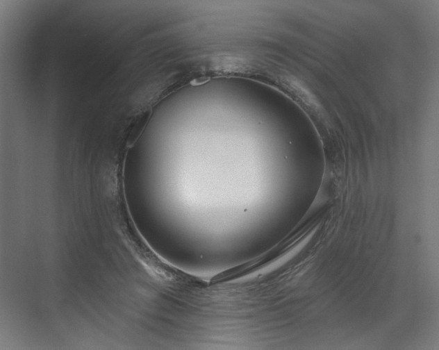 X0000070820401200606191228