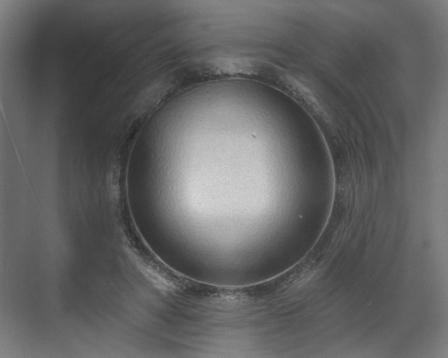 X0000070820402200606191228