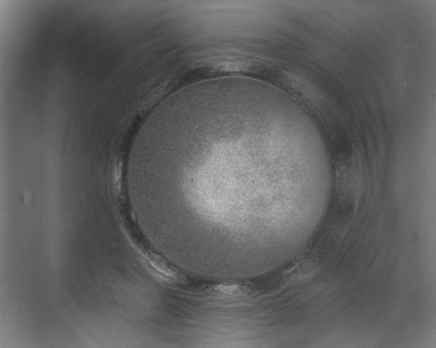 X0000070820406200606191227