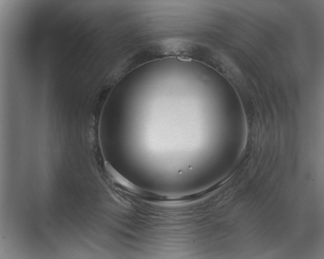 X0000070820413200606191227