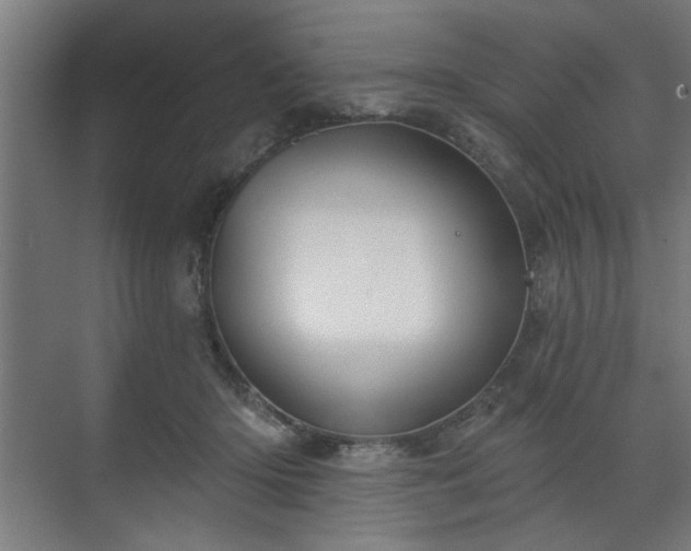 X0000070820414200606191227