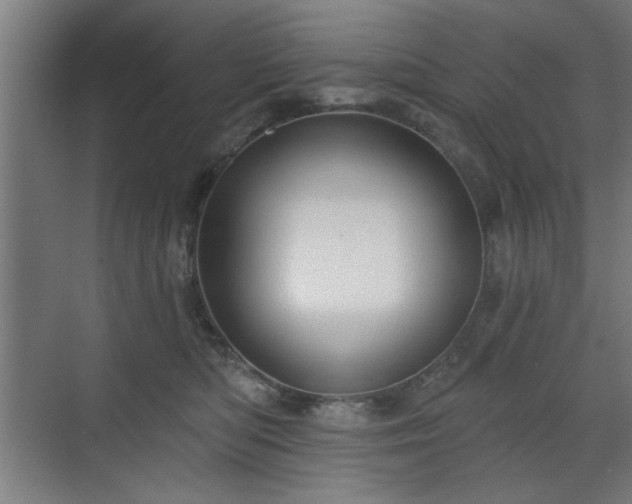 X0000070820422200606191227