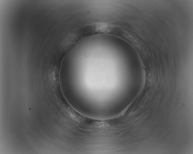 X0000070820424200606191227