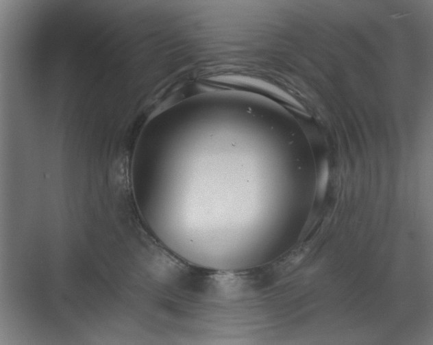 X0000070820425200606191227