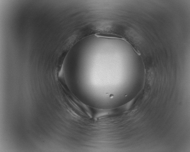 X0000070820428200606191227