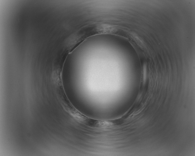 X0000070820429200606191227