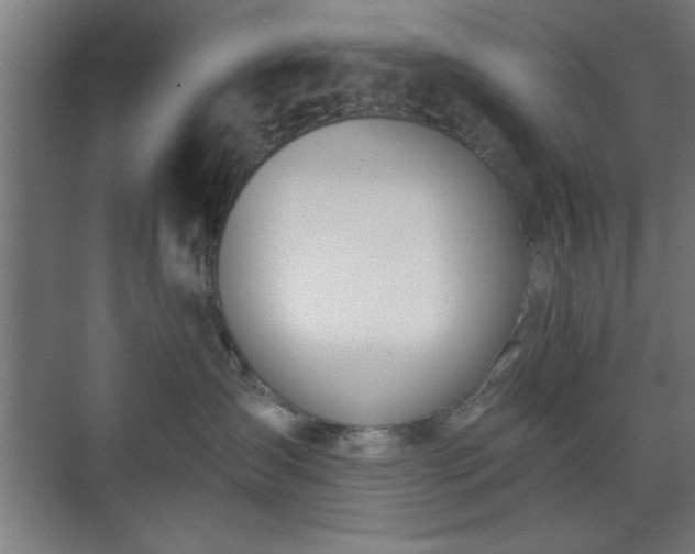 X0000070820431200606191227