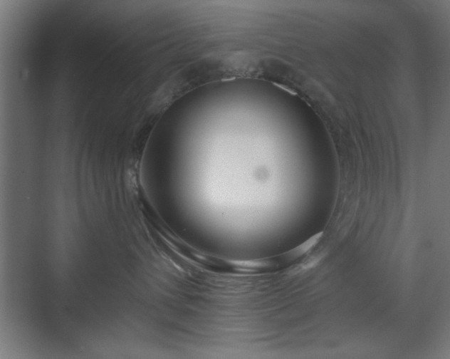 X0000070820432200606191227