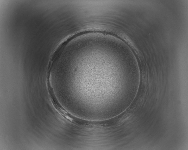 X0000070820434200606191226