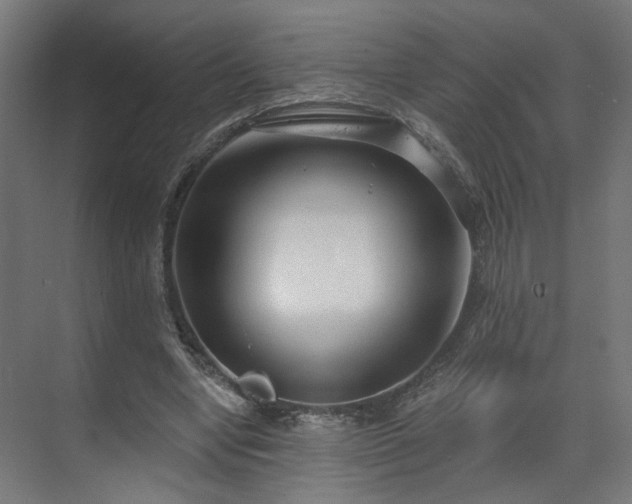 X0000070820442200606191226