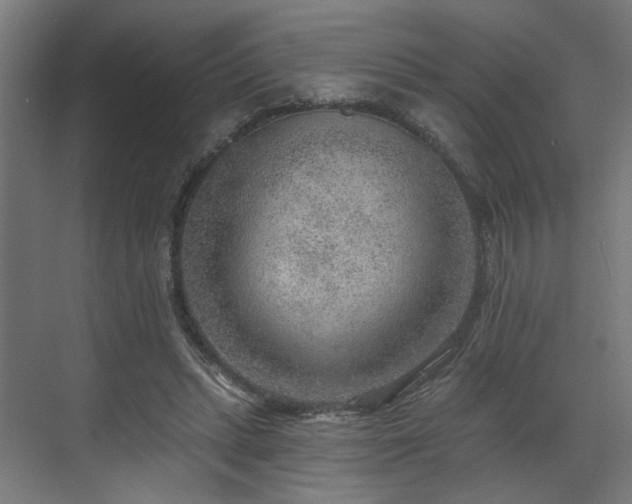 X0000070820447200606191226