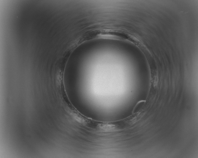 X0000070820476200606191227