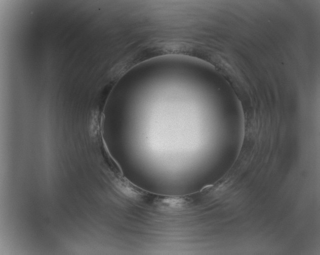 X0000070820478200606191227