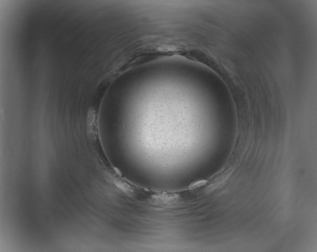 X0000070820480200606191227