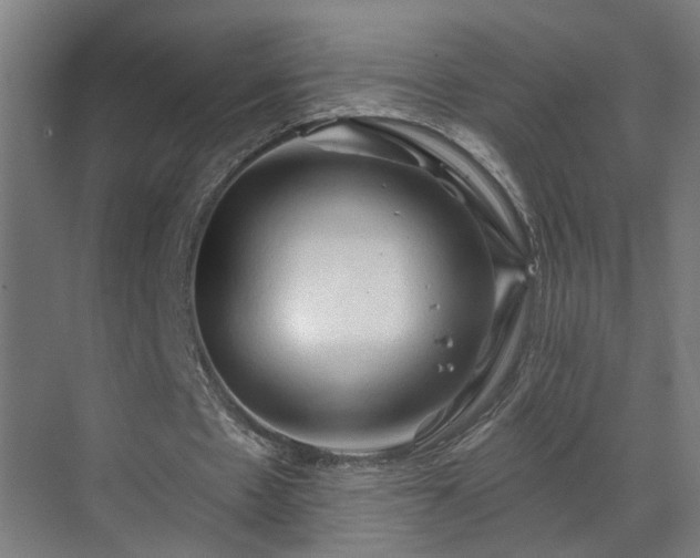 X0000070820481200606191226