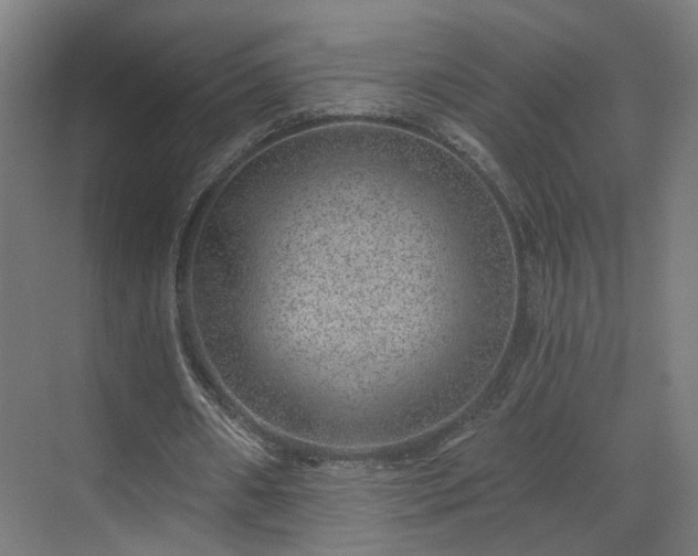 X0000070820482200606191226