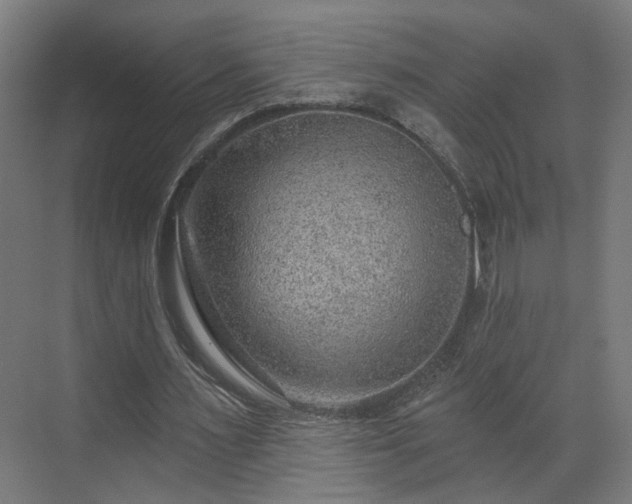 X0000070820483200606191226