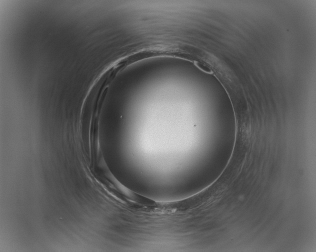X0000070820484200606191226
