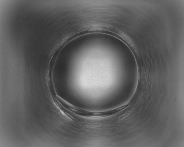 X0000070820485200606191226