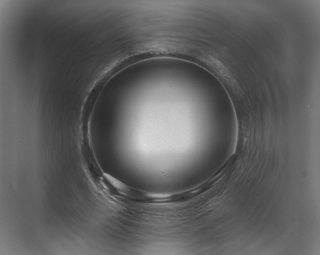 X0000070820488200606191226