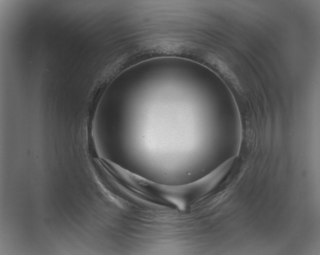 X0000070820493200606191226
