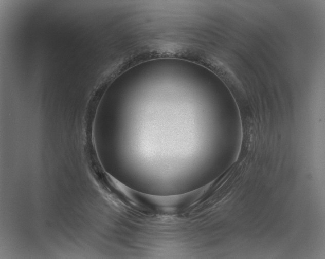 X0000070820496200606191226