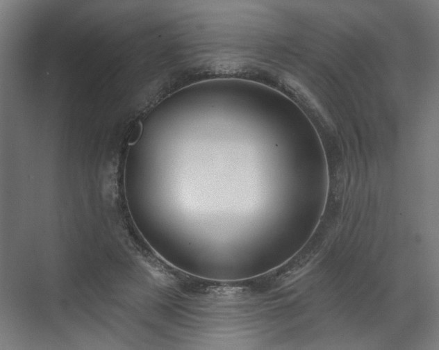 X0000070820497200606191226