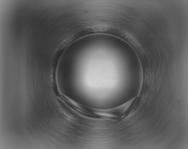 X0000070820501200606191226