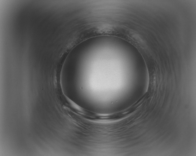 X0000070820508200606191226